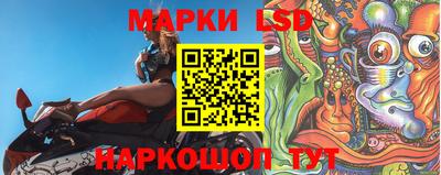 ALPHA PVP Новозыбков
