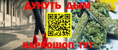 СК Новодвинск