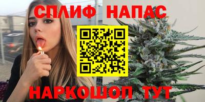 СК Новодвинск