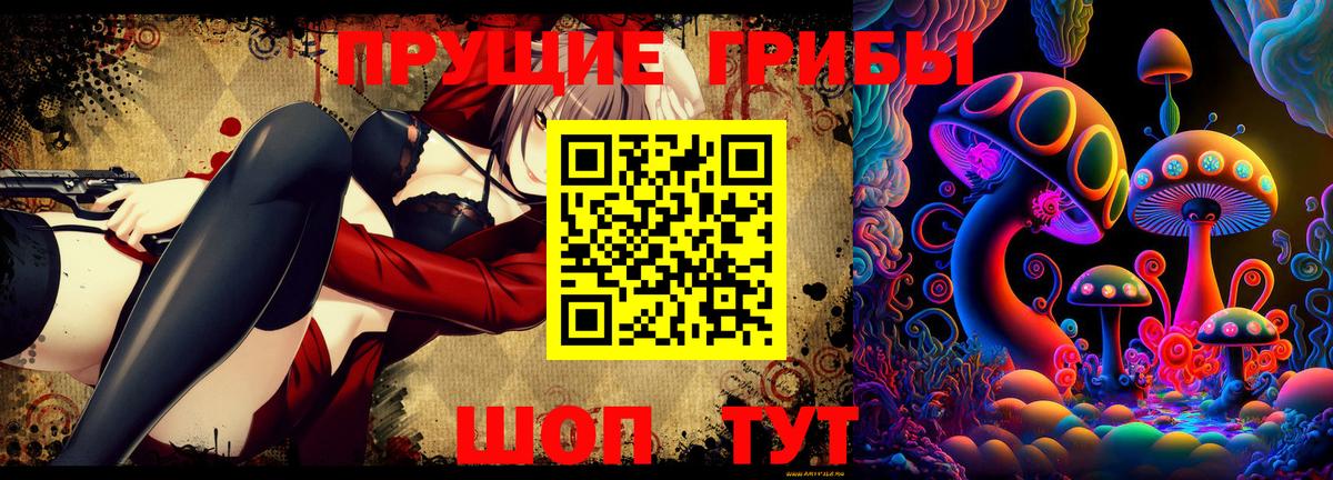 Химки  Галлюциногенные грибы прущие грибы  Вход с VPN 