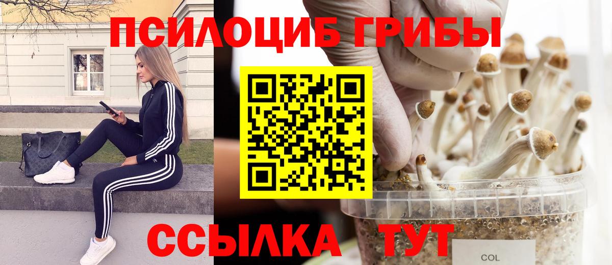 Псилоцибиновые грибы мухоморы Химки